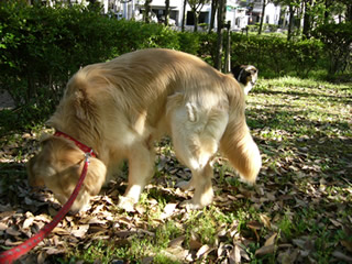0605-0407.jpg