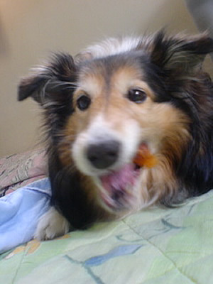 0605-2503.jpg