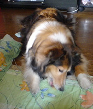 0606-0604.jpg