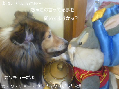 0704-0402.jpg