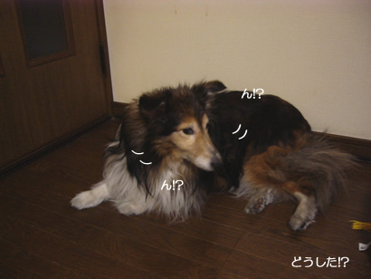 0704-2702.jpg