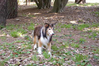 0805-0319.jpg