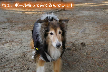 IMGP3346.jpg